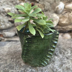 POTI, cache-pot en poterie de Tamegroute