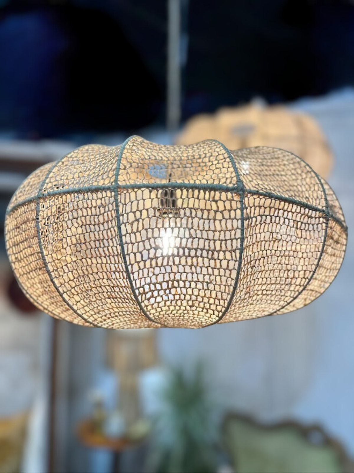 La suspension ITRAN séduit par son design aérien inspiré des formes naturelles de l’oursin.
