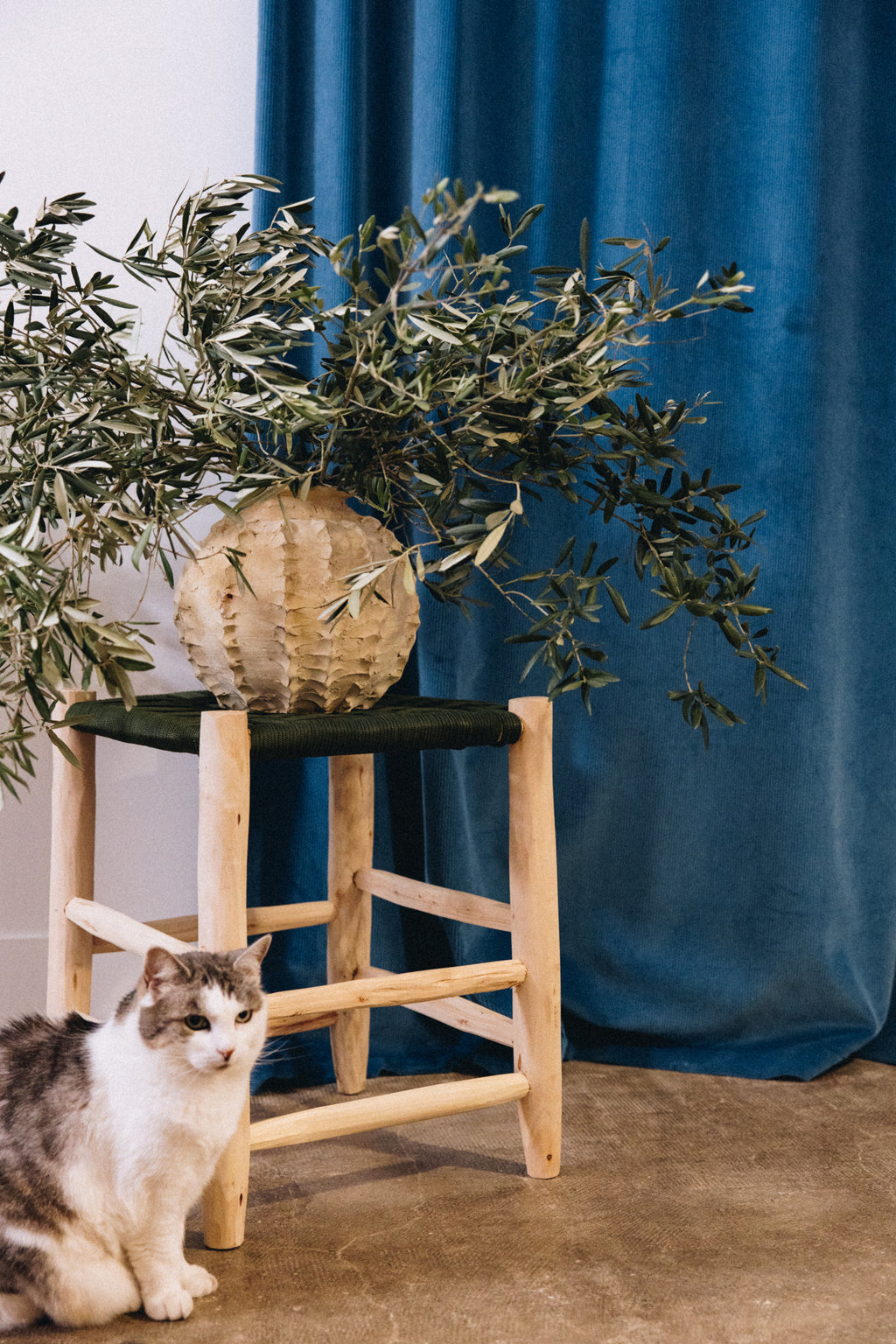 Alliant authenticité et design contemporain, le tabouret TAMARET est une pièce artisanale unique qui sublime les intérieurs naturels et bohèmes.
Son assise en fil de nylon tressé à la main s’accorde parfaitement avec la structure en bois brut, offrant une alliance subtile entre confort, légèreté et élégance brute.